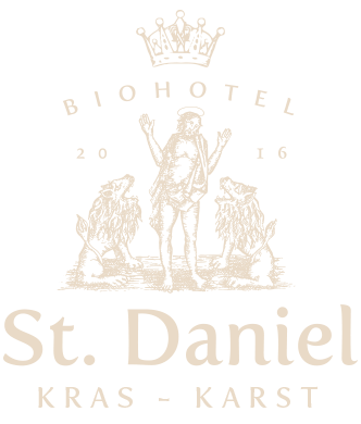 ECO HOTEL, HOTEL ST. DANIEL