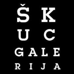 ŠKUC GALLERY, LJUBLJANA